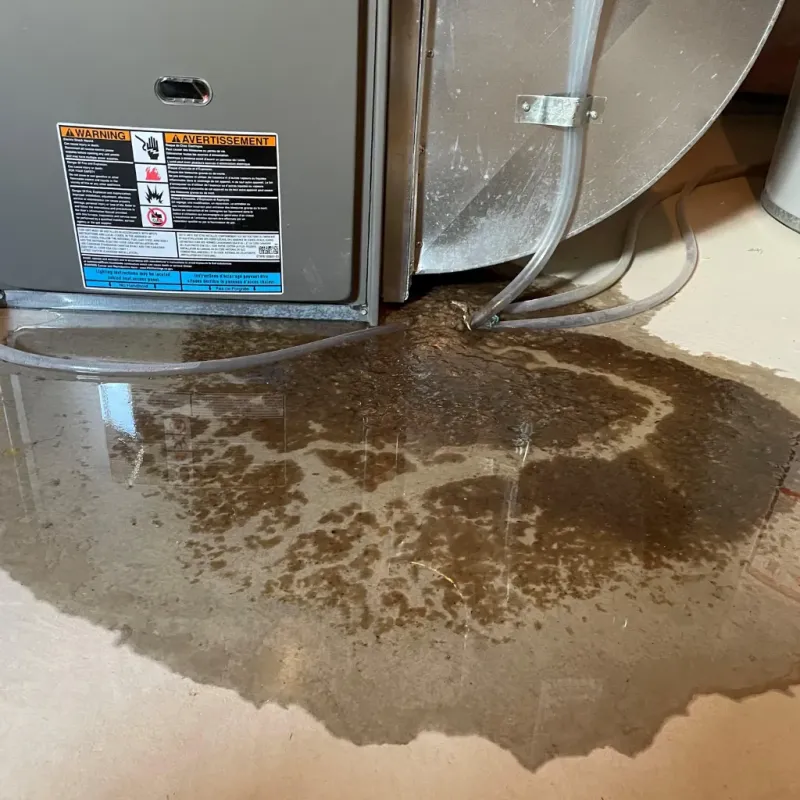 Appliance Leak Cleanup in Butler County, NE